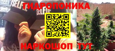 прущие крисы Беслан
