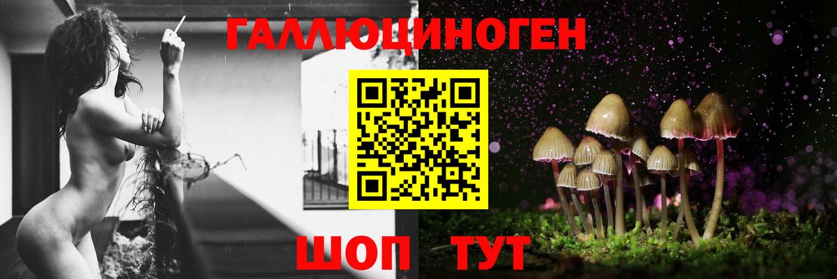 Псилоцибиновые грибы ЛСД Ирбит